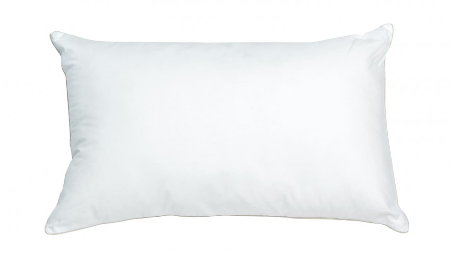 OREILLER DUVET ET PLUMETTES 45X70